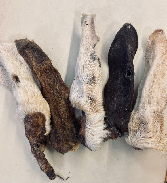 Hairy Goat Ear
