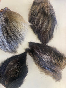 Hairy Boar Ear