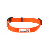 Doodlebone Collar Orange 6-11
