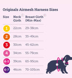 Doodlebone Airmesh Harness Purple Size 6-7