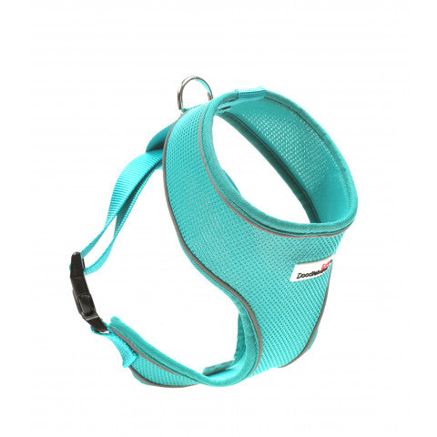 Doodlebone Airmesh Harness Teal Size 4-5