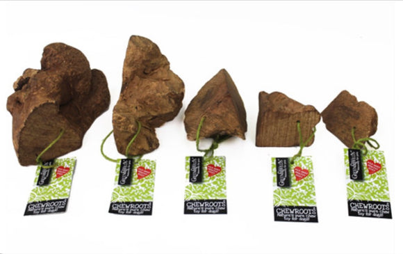 Chewroot Medium