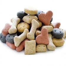 Pointer Biscuit Selection 1kg