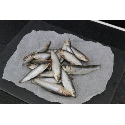 Nutriment Whole Sprats 1kg